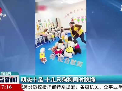 安徽宿州：萌态十足 十几只狗狗同时跳绳