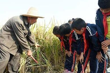 劳动教育成江西各级学校必修课 中小学每周不少于1课时 