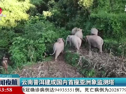 云南普洱建成国内首座亚洲象监测塔