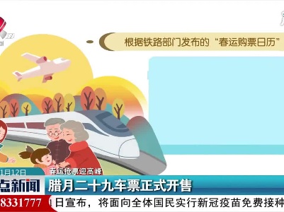 【春运抢票迎高峰】腊月二十九车票正式开售