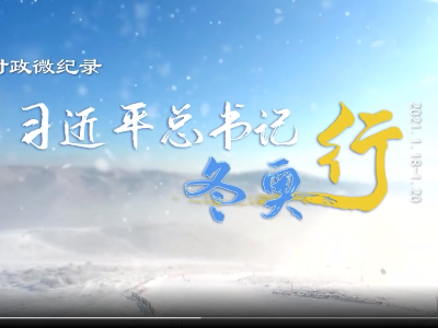 时政微纪录丨习近平总书记冬奥行