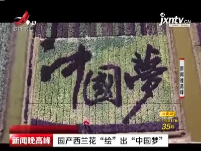 江苏南通：国产西兰花“绘”出“中国梦”