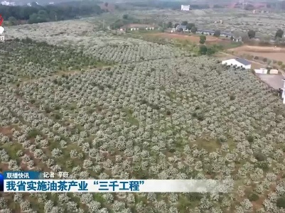 我省实施油茶产业“三千工程”