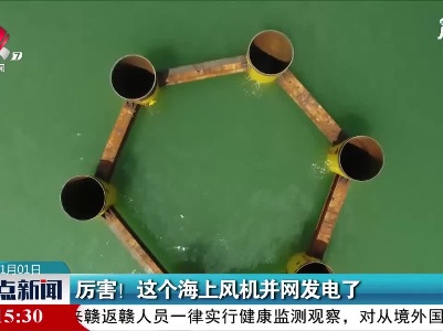厉害！这个海上风机并网发电了