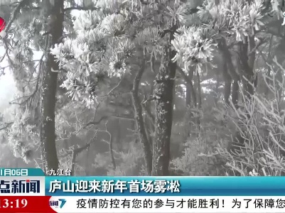 庐山迎来新年首场雾凇