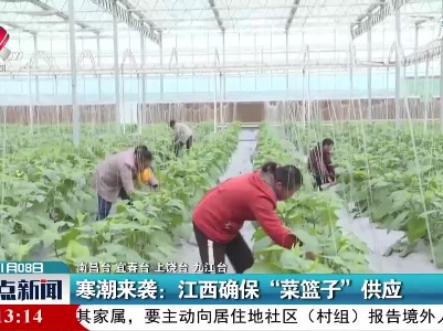 寒潮来袭：江西确保“菜篮子”供应