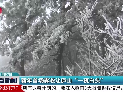 新年首场雾凇让庐山“一夜白头”