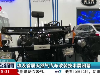 埃及首届天然气汽车改装技术展闭幕