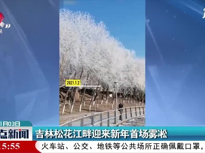 吉林松花江畔迎来新年首场雾凇