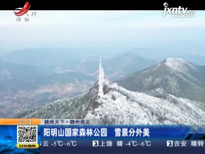 【赣闻天下】赣州崇义：阳明山国家森林公园 雪景分外美