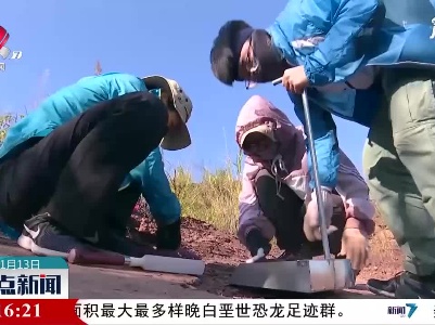 福建首次发现恐龙存在的证据