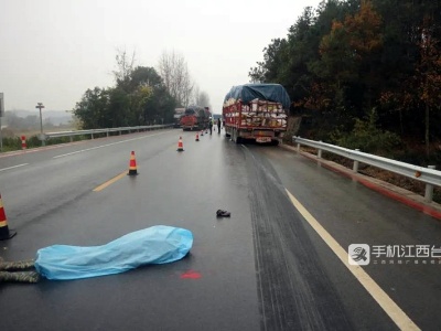 江西抚州一行人被撞身亡！交警：死者负主责