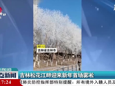 吉林松花江畔迎来新年首场雾凇