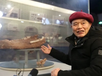 世界罕见！赣州发现7000万年前正孵蛋的窃蛋龙化石 