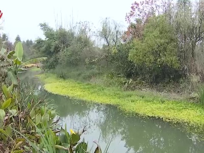 生物修复 科学防治 江西打好净土保卫战