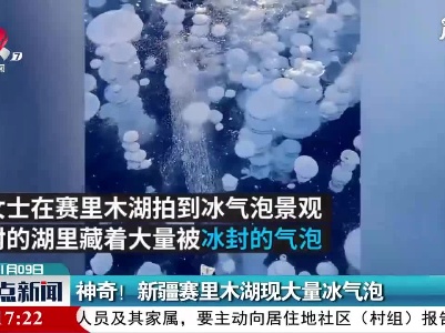 神奇！ 新疆赛里木湖现大量冰气泡