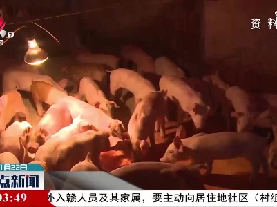 2020年江西生猪存栏1569.9万头