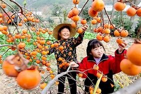 全国优秀农民工舒龙岗：努力带动更多老百姓致富
