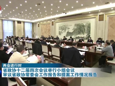 【两会进行时】省政协十二届四次会议举行小组会议 审议省政协常委会工作报告和提案工作情况报告