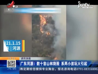 广东河源：数十亩山林烧毁 系两小孩玩火引起