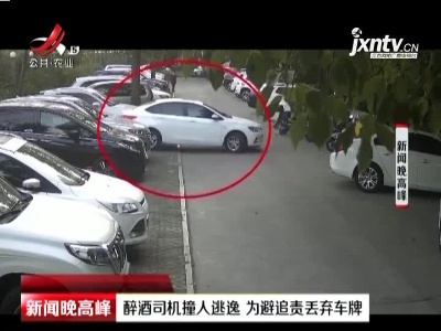 上海：醉酒司机撞人逃逸 为避追责丢弃车牌