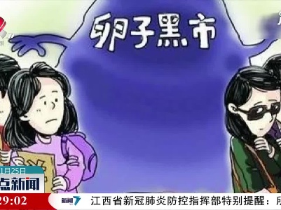 “代孕”违法 冷冻卵子为何在我国有限开放