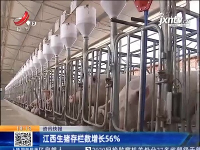 江西生猪存栏数增长56%