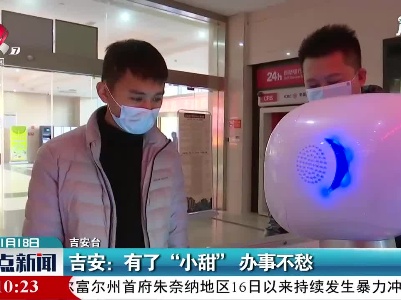 吉安：有了“小甜” 办事不愁