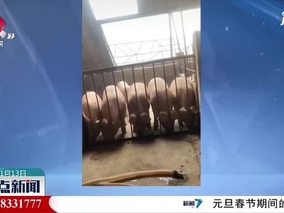 广东：一起加油 团结就是力量！