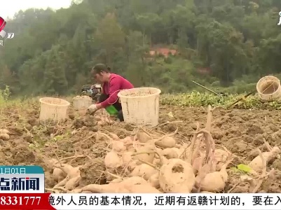 【你好，2021】会昌：农运会迎新年 庆丰收