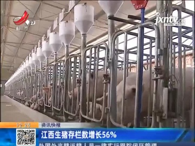 江西生猪存栏数增长56%