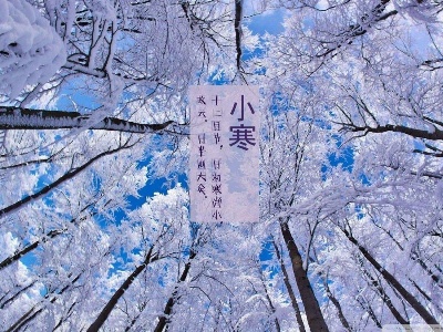 “小寒”到！冷空气“应景”前来，这次又是“霸王”级别的