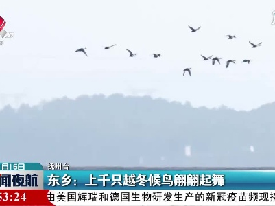 东乡：上千只越冬候鸟翩翩起舞