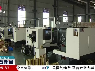 江西省首票符合国家标准的再生铜顺利通关