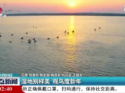 鄱阳湖：湿地别样美 观鸟度新年
