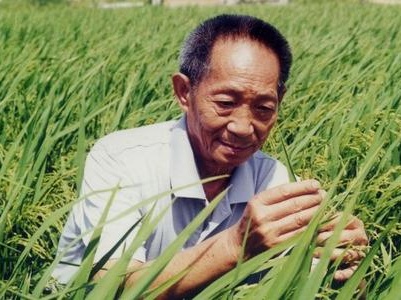 袁隆平入驻抖音数小时粉丝破千万？本人表示不知情