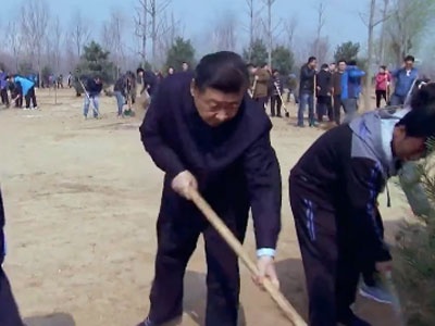 系列时政微视频丨人民福祉——跟着总书记一起建设美丽中国