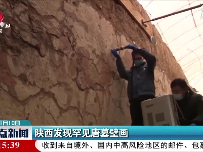 陕西发现罕见唐墓壁画