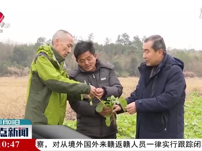 庐山：农技人员基层防寒抗寒