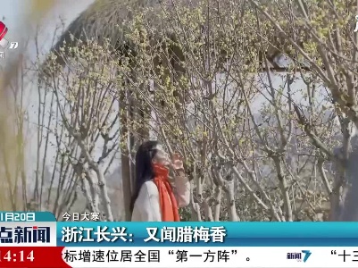 【今日大寒】浙江长兴：又闻腊梅香