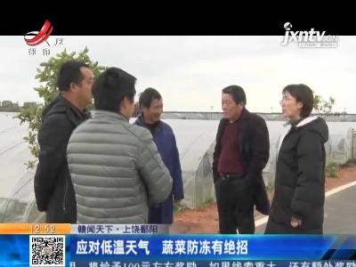 【赣闻天下】上饶鄱阳：应对低温天气 蔬菜防冻有绝招