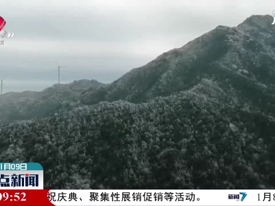 赣州：多地出现雾凇美景 宛如童话世界
