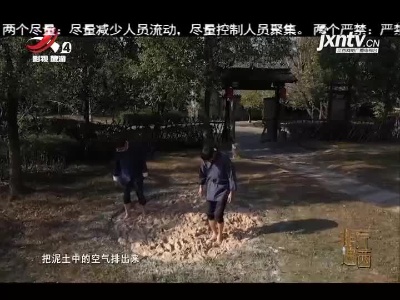 非遗江西20210116