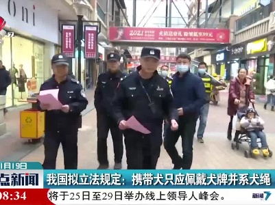 我国拟立法规定：携带犬只应佩戴犬牌并系犬绳