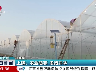 上饶：农业防寒 多措并举
