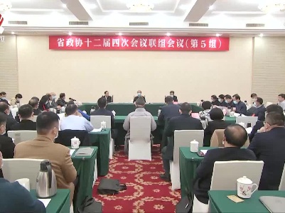 【两会进行时】吴晓军参加省政协十二届四次会议第五联组讨论