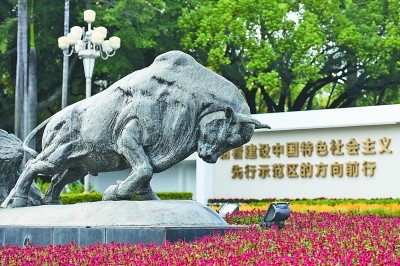 特区精神：敢为天下先勇当“拓荒牛”