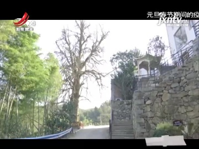 南昌湾里：在芙山房 让深山中的“空心村”焕发生机