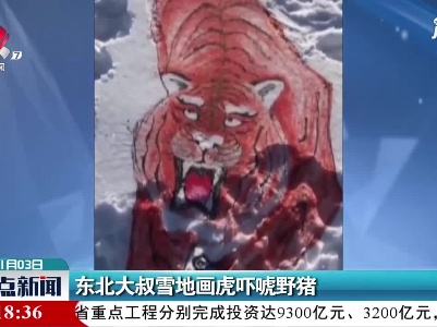 黑龙江：东北大叔雪地画虎吓唬野猪