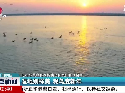 整点新闻20210104 14:00